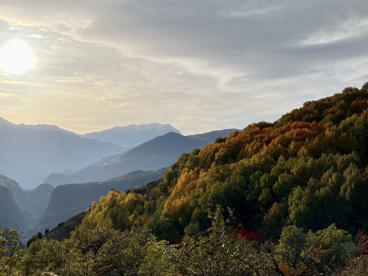 fall 2023 life&nbsp;update